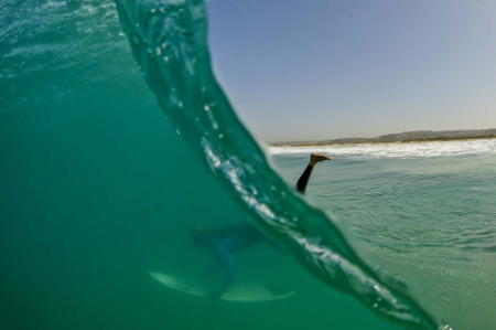a surf photo with fisheye lens