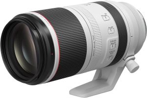canon Lens RF 100-500 F4.5-7.1 IS USM